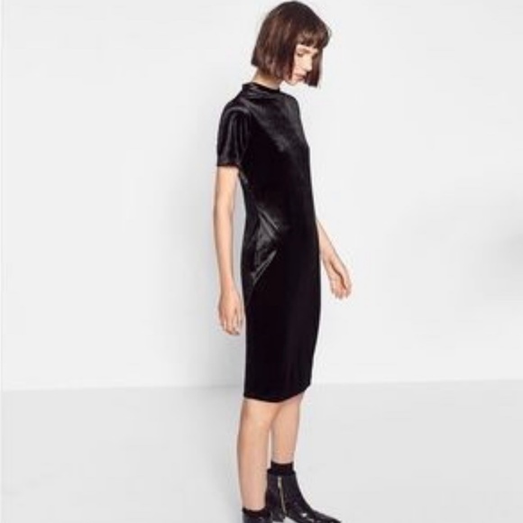 Zara Tarfaluc Short Sleeve Velvet Midi Dress - Picture 2 of 7